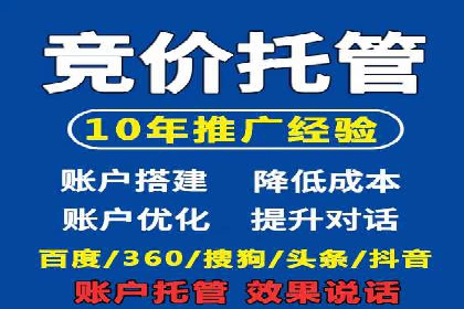 提升关键词竞价排名转化率：经典案例解析